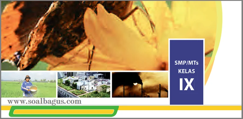 Kumpulan Kisi Kisi UTS Kelas 9 Semester 1 Ganjil - BelajardanEdukasi Kumpulan Kisi Kisi UTS Kelas 9 Semester 1 Ganjil - BelajardanEdukasi